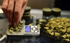 An example of needed technology in marijuana businesses. Pot is weighed on a digital scale at a marijuana dispensary, in Los Angeles, Calif. (Frederic J. Brown, Getty Images)