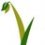 EarlyGrowthFS