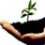Startup_Ticker