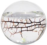 Ecosphere Associates, Inc.