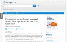 Small Business Economics, Volume 1, Number 1