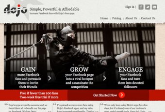 Website Startup success stories